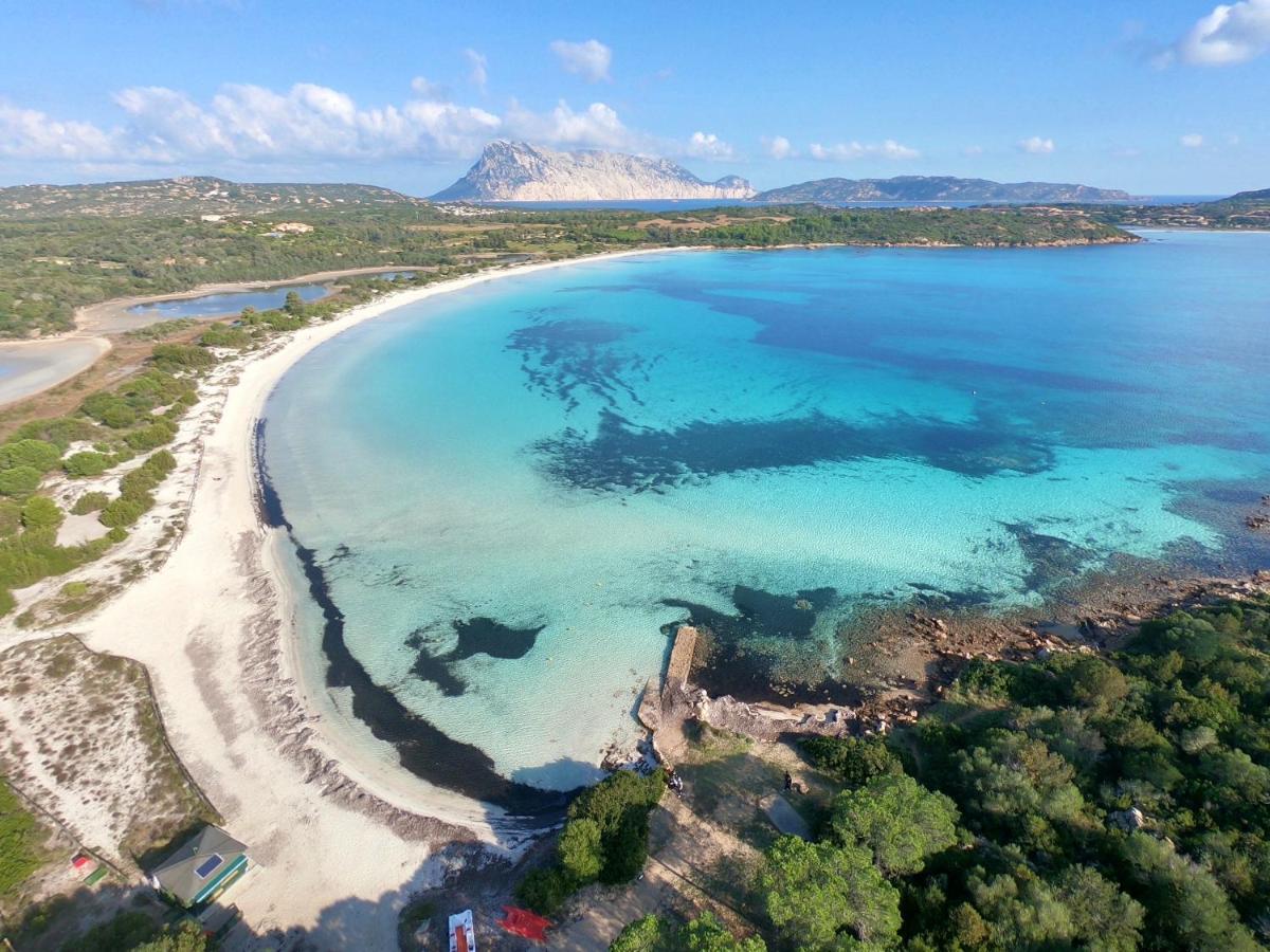 Iss Travel, Villa Fiorita - 800 M From La Cinta Beach San Teodoro  Exterior photo